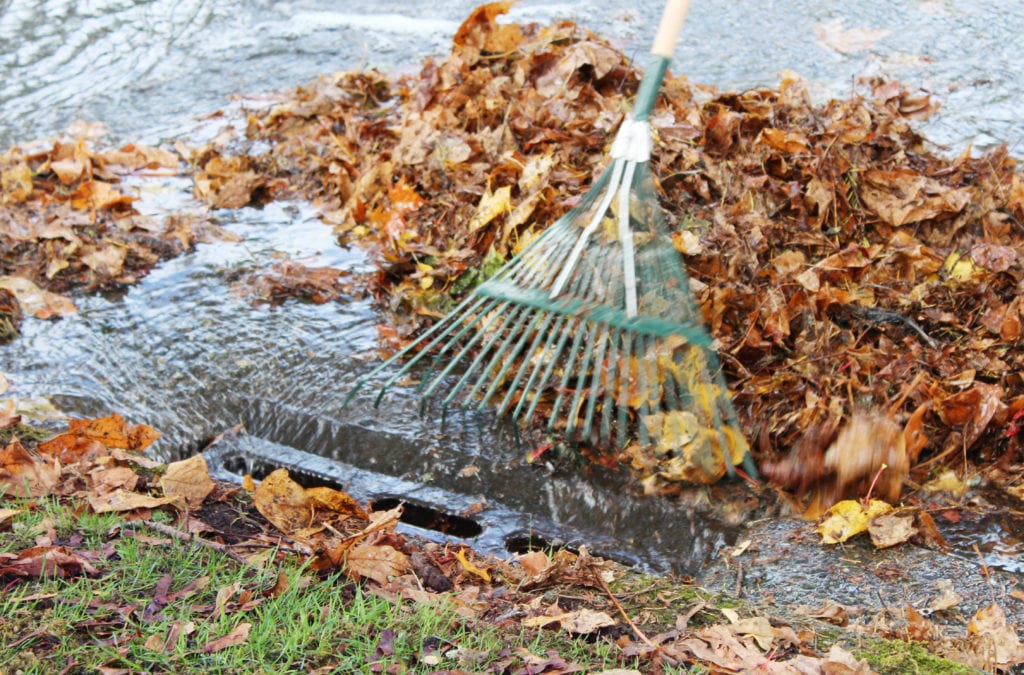 Free Extra Yard Waste Collection for Seattle Customers in November - At ...