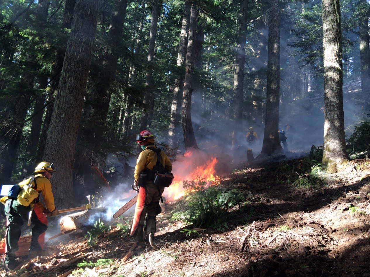 Two Watershed Protection Staff wearing fire fighting gear, fighting a forest fire