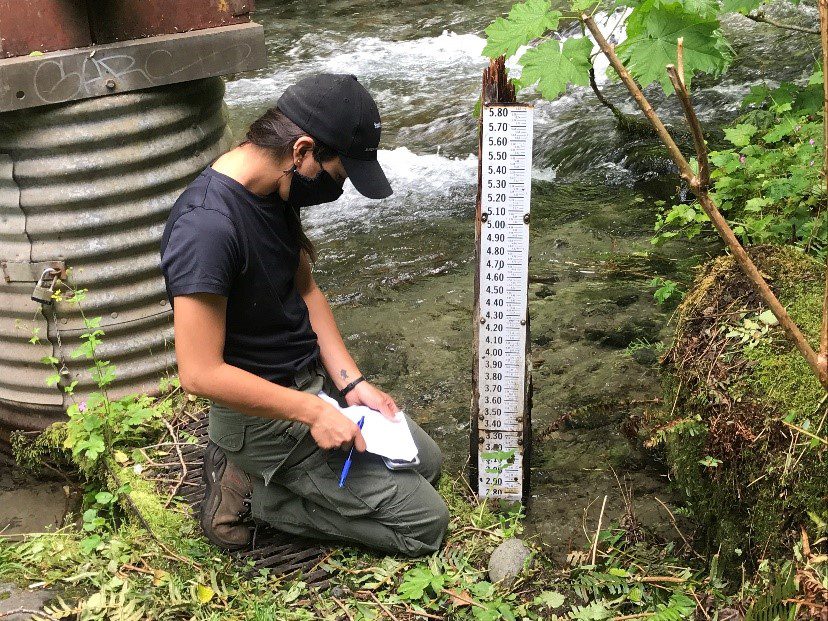 One Watershed Inspector, kneeling by  running water, writing in a notebook and reading a staff gage