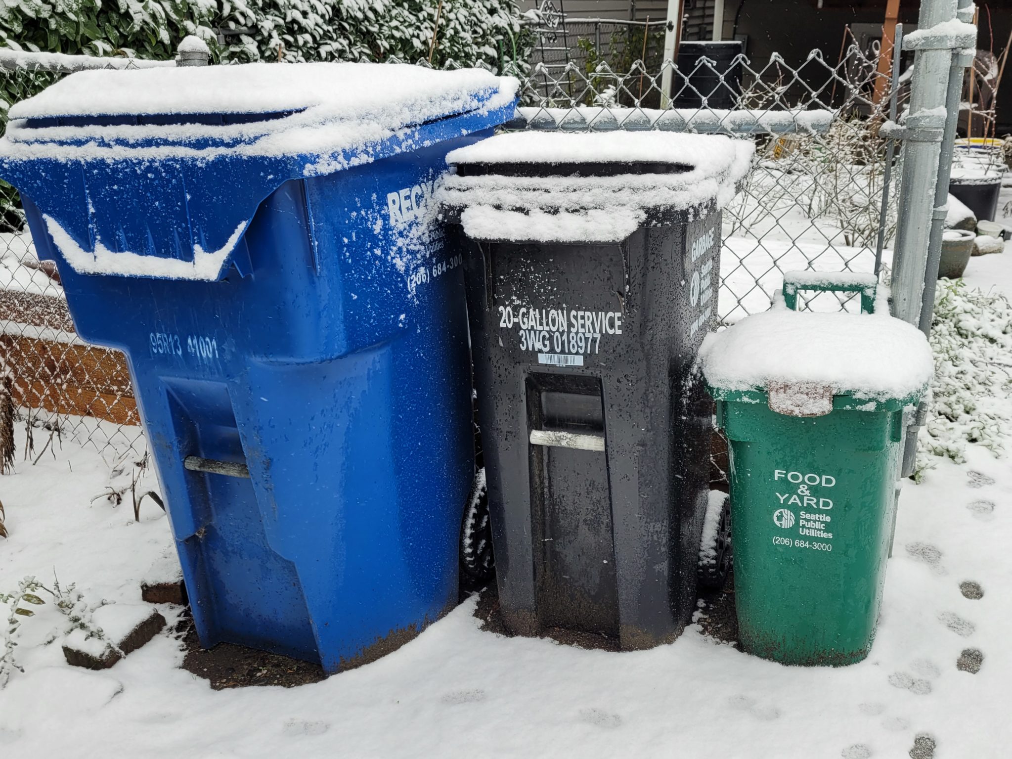 Recycling, garbage, and compost bins covered in snow.