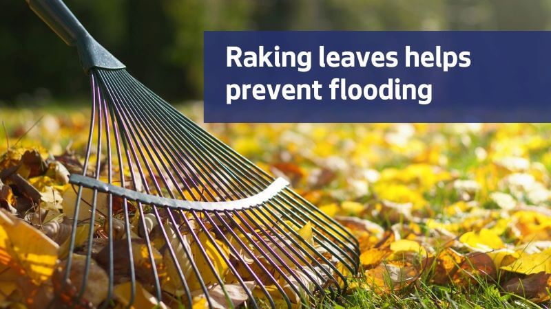 Raking leaves prevents flooding.