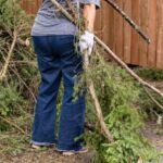 Cleaning up wind blow branches.