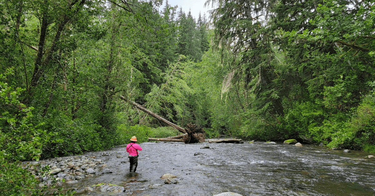A person in hip waders, a bright pink shirt, and a yellow helmet stands in a shallow, rocky river surrounded on both sides by lush, green forest.