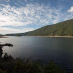 A lake surrounded by hills covered with evergreen forest under a blue sky dappled with white clouds.