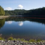 Tolt Watershed