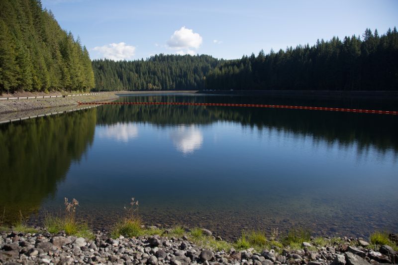Seattle Public Utilities Honored with National Sustainability Award