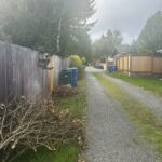 An alley with trimmed branches and accessible collection containers.