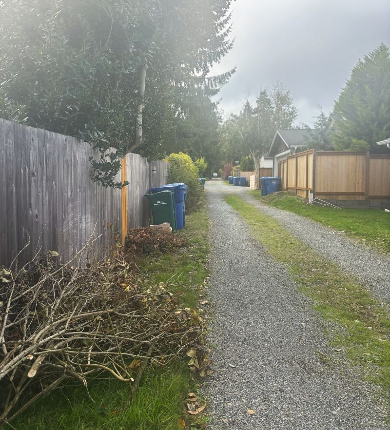 Tree Trimming for Alley Access: A Community Guide for Collection Truck Access