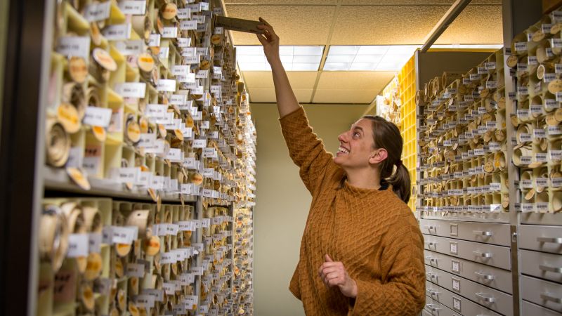 Upgrading the Records Vault: What to Know Before We Close December 15